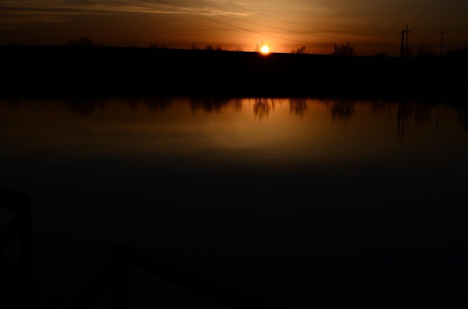 Teslui 2014 - part 1 - image111111.jpg